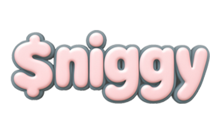 $niggy logo